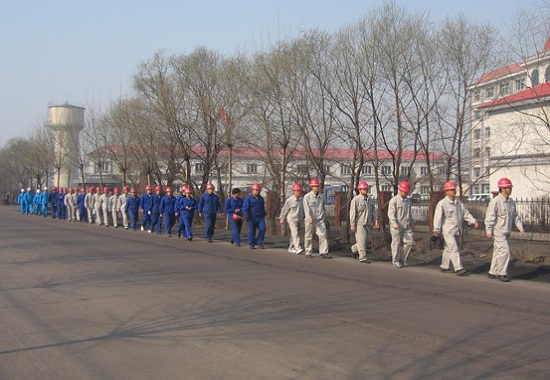 ɭ��������-׷�󿵽�,����һ�������������