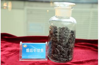 �Ѻ���״��