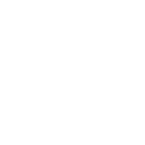 dcs_icon_05.png